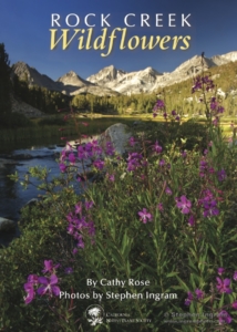 Rock Creek Wildflowers cover (1)