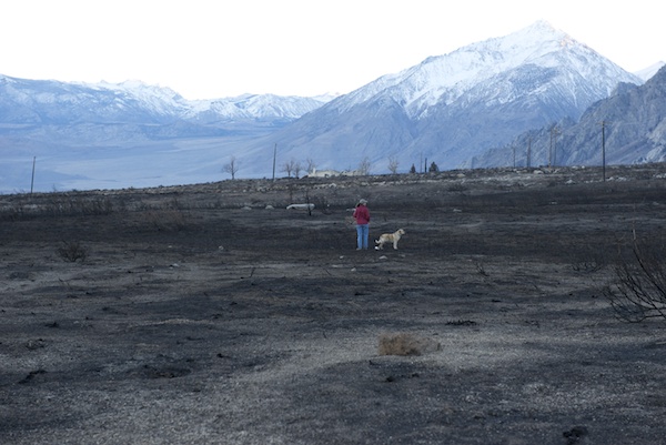 My wife, Karen, and Nellie survey the new landscape after the February 6 Round Fire that burned our home.