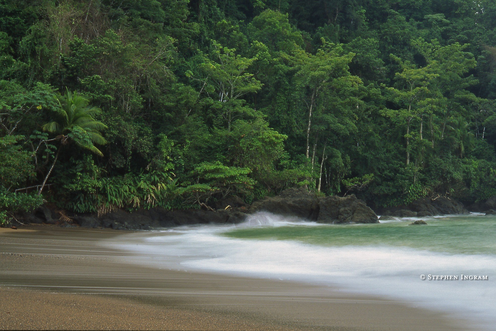Rainforest beach Osa Peninsula, Costa Rica