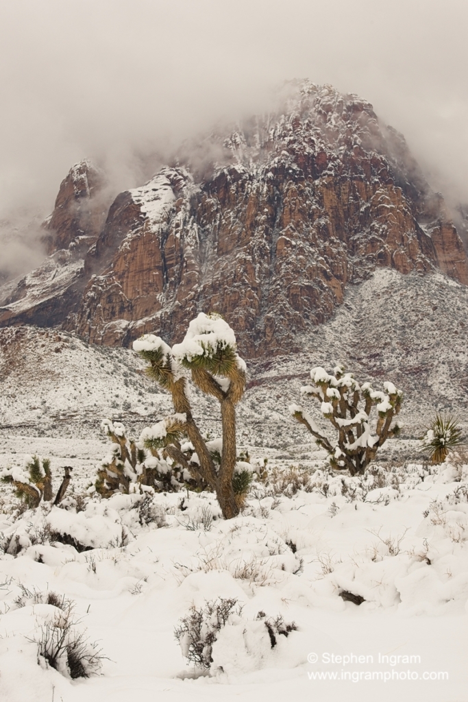 New snow at Red Rock Canyon National Conservation Area, NV