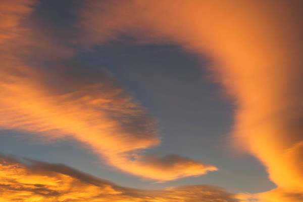 Colorful altocumulus cloud formations appear at sunrise above the White Mountains, CA