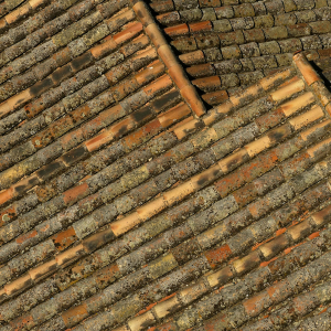 Lichen-covered roof tiles in Oropesa, Spain