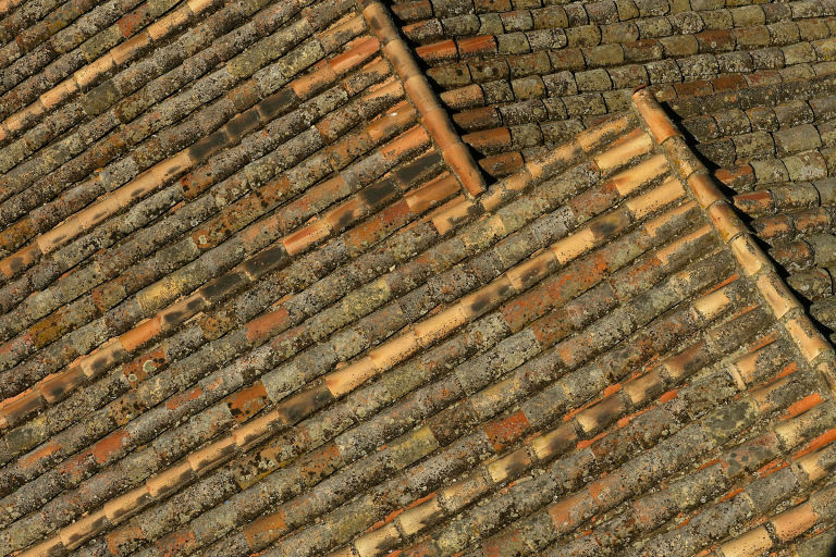 Lichen-covered roof tiles in Oropesa, Spain