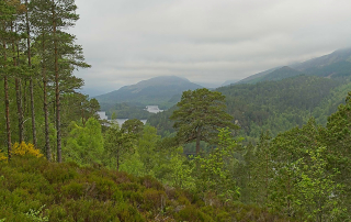 View of Loch Affric, Glen Affric Forest Preserve