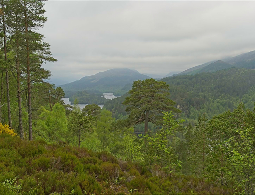 Scottish Highlands and Orkney, Spring 2025