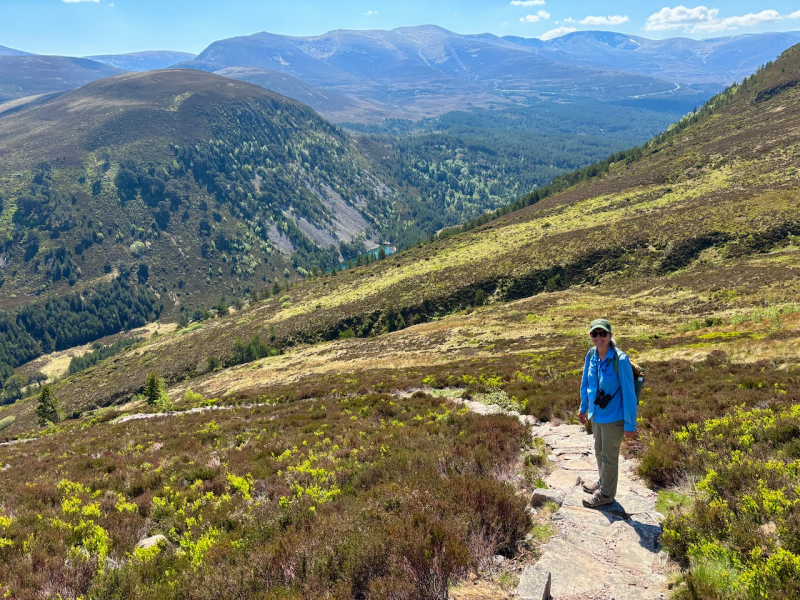 The trail down from Meall a' Bhuachaille with Cairngorm Mountains in background, Glenmore Forest Park.
