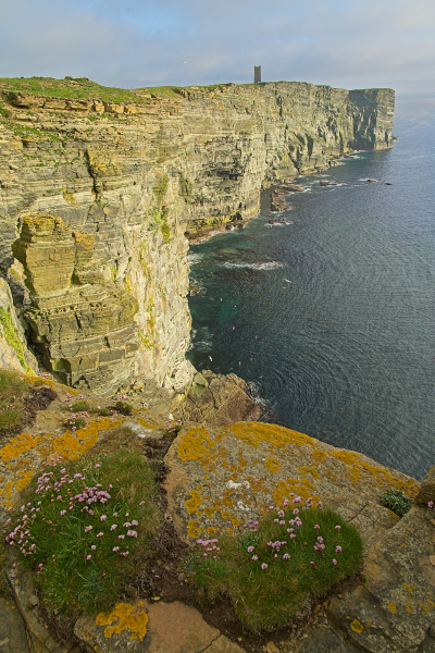 Sea cliffs of Marwick Head with Kitchener Memorial in background, west coast of Mainland