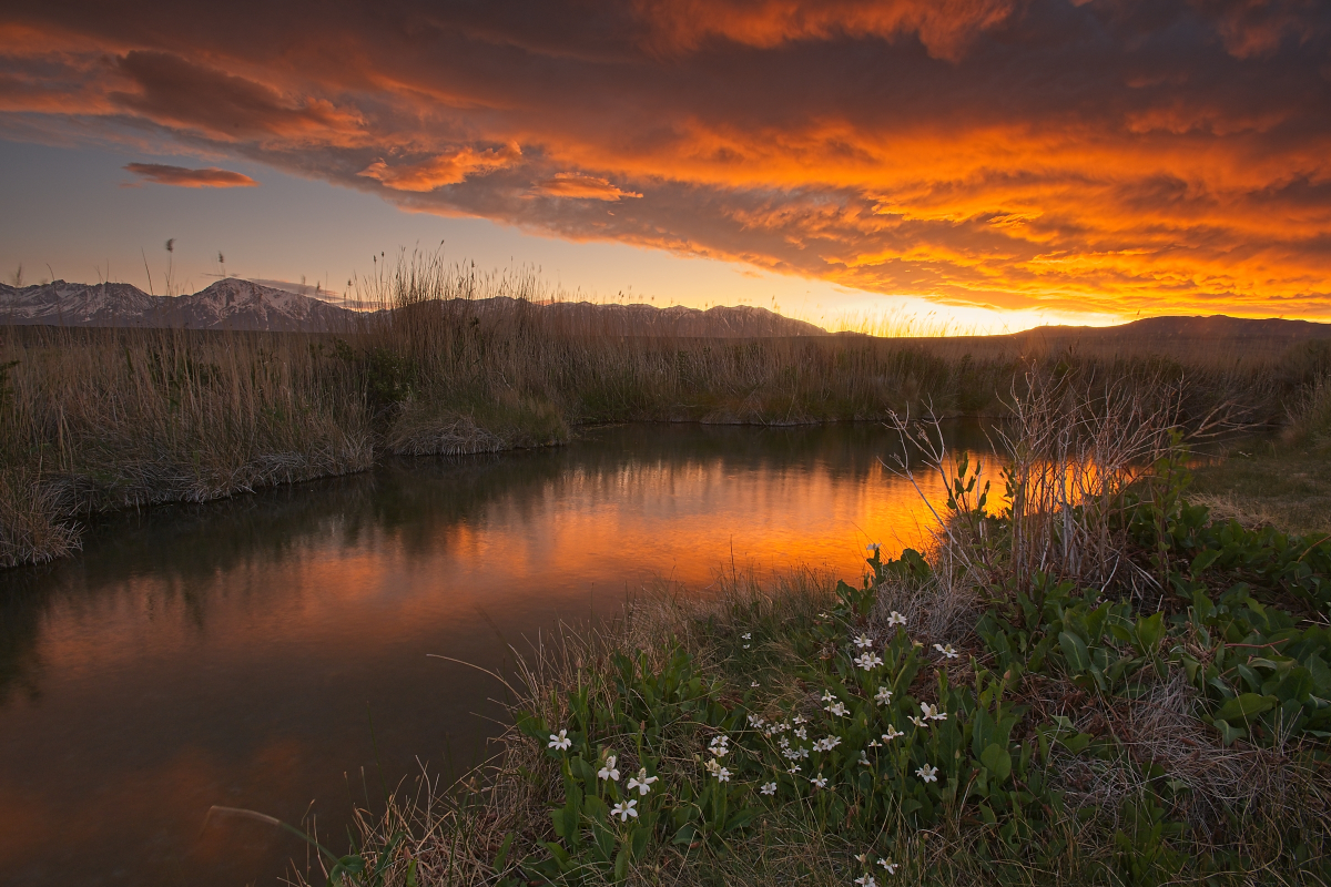 Sunset from BLM Spring, Fish Slough.