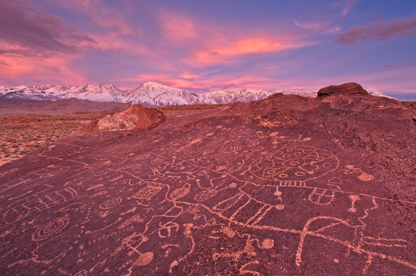 View 21. A large panel of petroglyphs at dawn, Volcanic Tableland.